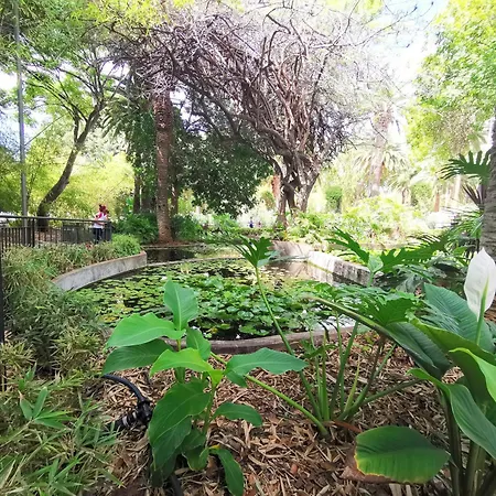 Home2book Pleasant & Design Cruz Center Santa-Cruz de Ténérife