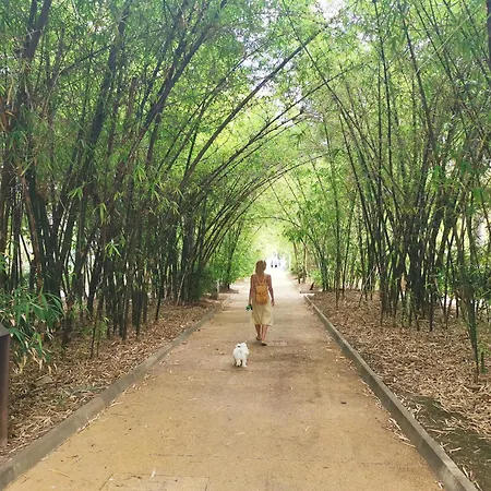 Home2book Pleasant & Design Cruz Center Appartement *